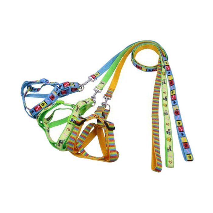 Digerui Karışık Desen Takım Tasma 2 Cm 120 Cm