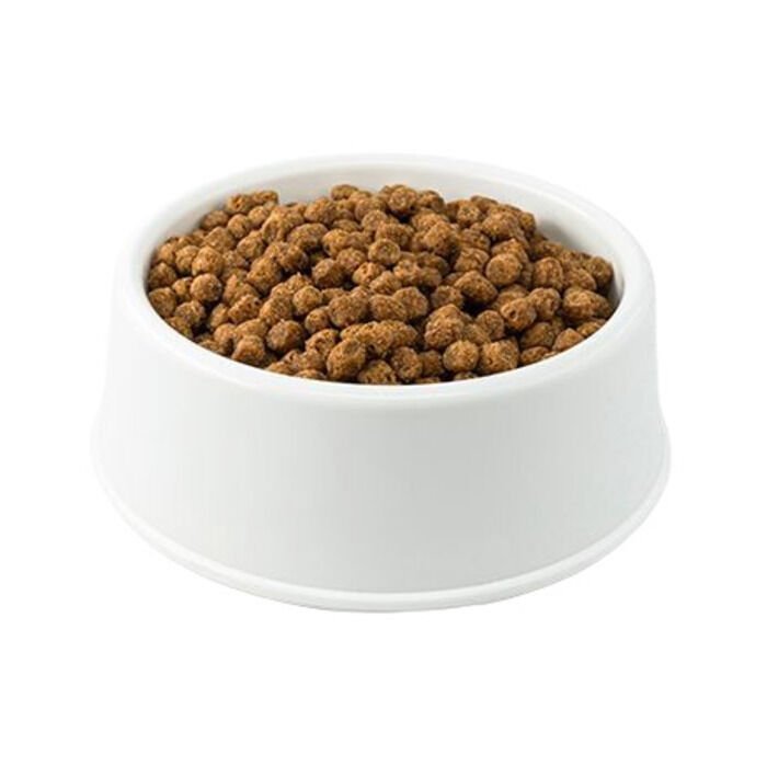 Cats Choice Nutrition Source Balık Etli Yetişkin Kedi Maması Açık