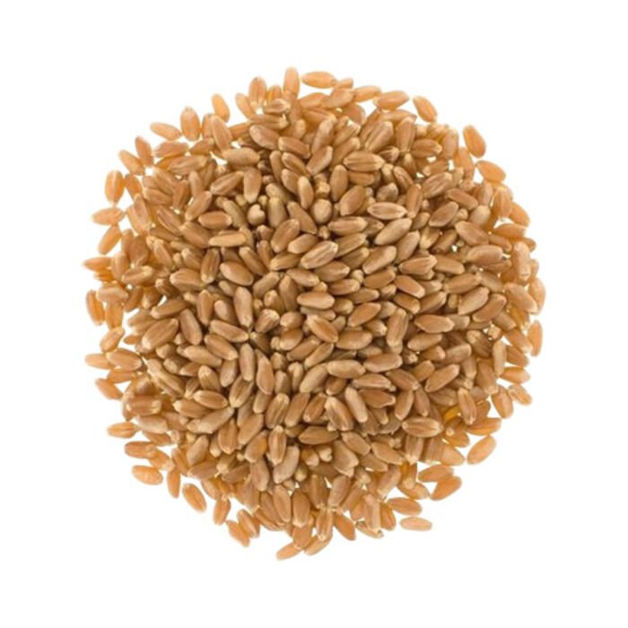 Mara BUĞDAY YEM 1 KG