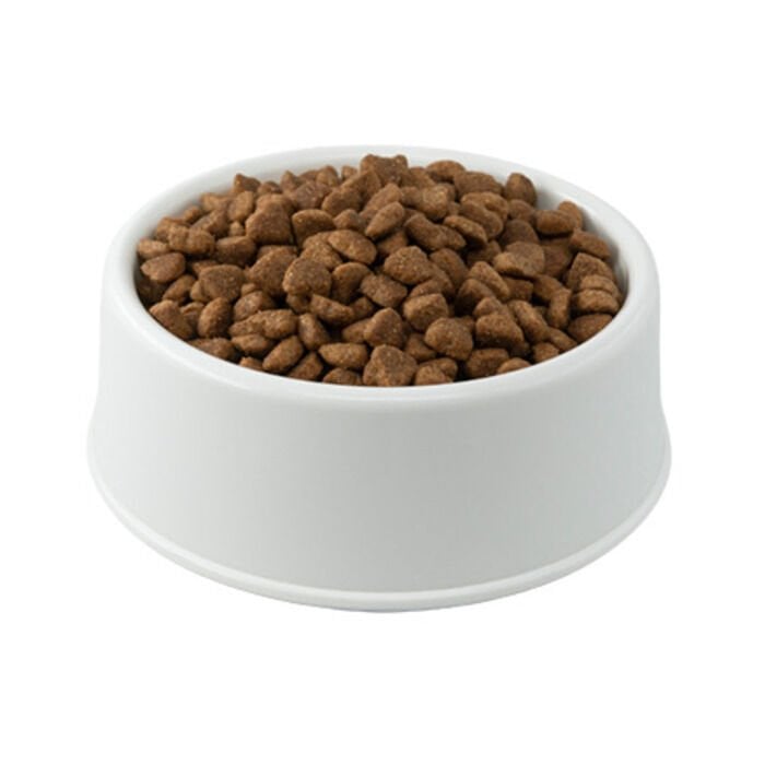 Enjoy Açık Tavuklu Yetişkin Kedi Maması 1 kg