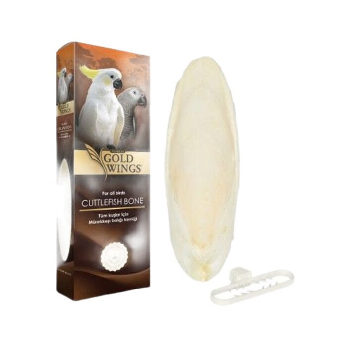 Gold Wings Mürekkep Balığı Kemiği Büyük Kalamar