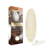 Gold Wings Mürekkep Balığı Kemiği Büyük Kalamar