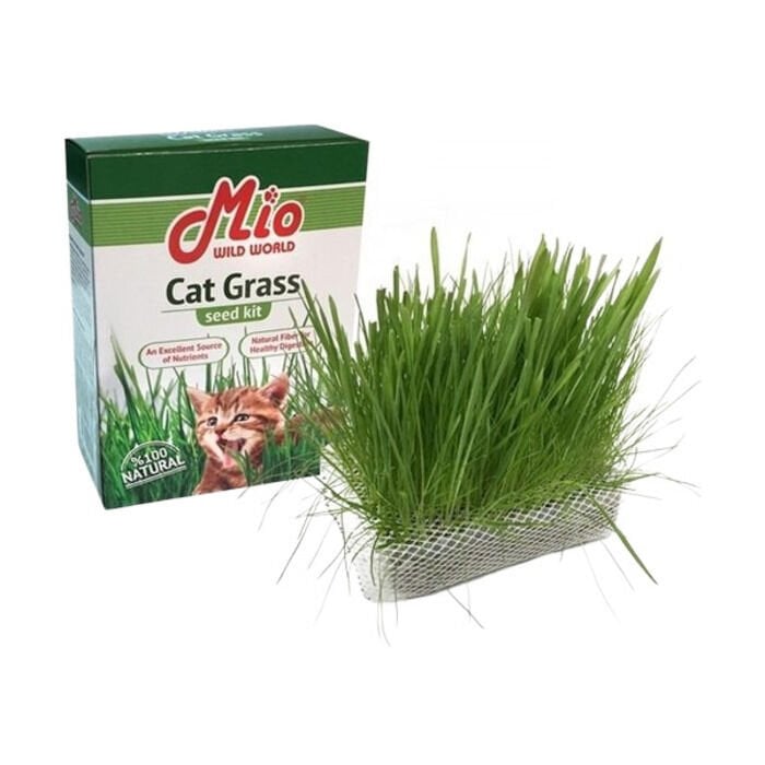 Mio Kedi Çimi