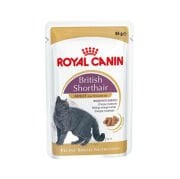 Royal Canin British Shorthair Yetişkin Kedi Yaş Maması 85 Gr Pouch