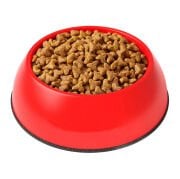 Royal Canin Kitten Yavru Kedi Maması (Açık Paket)