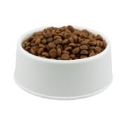 Pro Plan Yetişkin Somonlu Kedi Maması Açık
