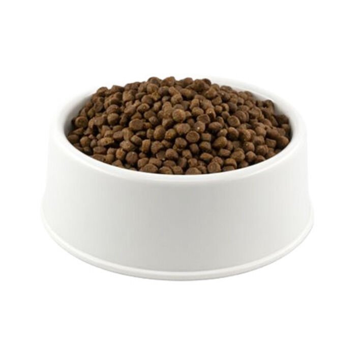 Proplan Yavru Kedi Maması Açık