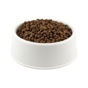 Proplan Yavru Kedi Maması Açık