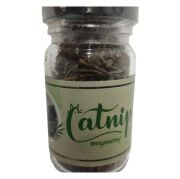 Kediş Catnip Otu