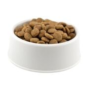 Reflex New Dog Biftekli Yetişkin Köpek Maması Açık