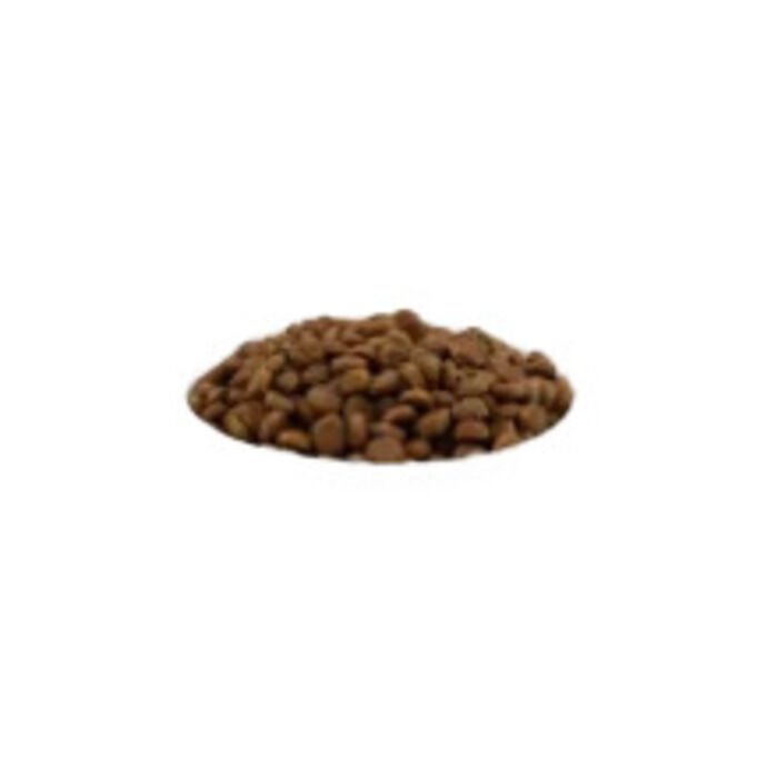 Süper Market Cuddy Yetişkin Köpek Maması Kuzu Etli 1 Kg Açık