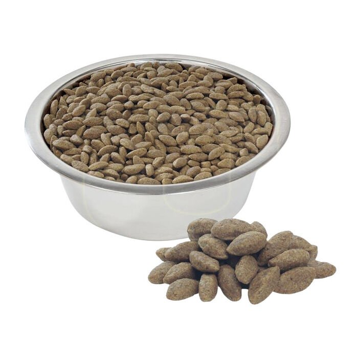 Proplan Adult Somonlu Köpek Maması Açık