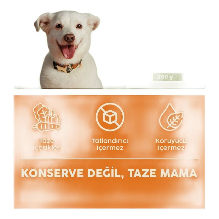 Kito Fresh Tavuk Etli Taze Köpek Yemeği 250 Gr