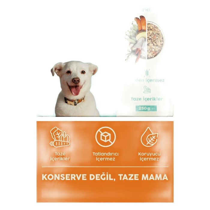 Kito Fresh Levrek Etli Taze Doğal Köpek Yemeği 250 Gr