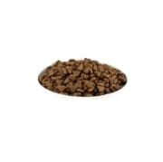 New Cat Tavuk Etli Yetişkin Kedi Maması Açık 1 Kg