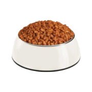 Enjoy Tavuklu Yetişkin Açık Köpek Maması 1 Kg
