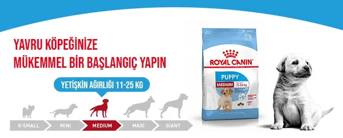 Royal Canin Medium Puppy Orta Irk Yavru Köpek Maması 4 kg